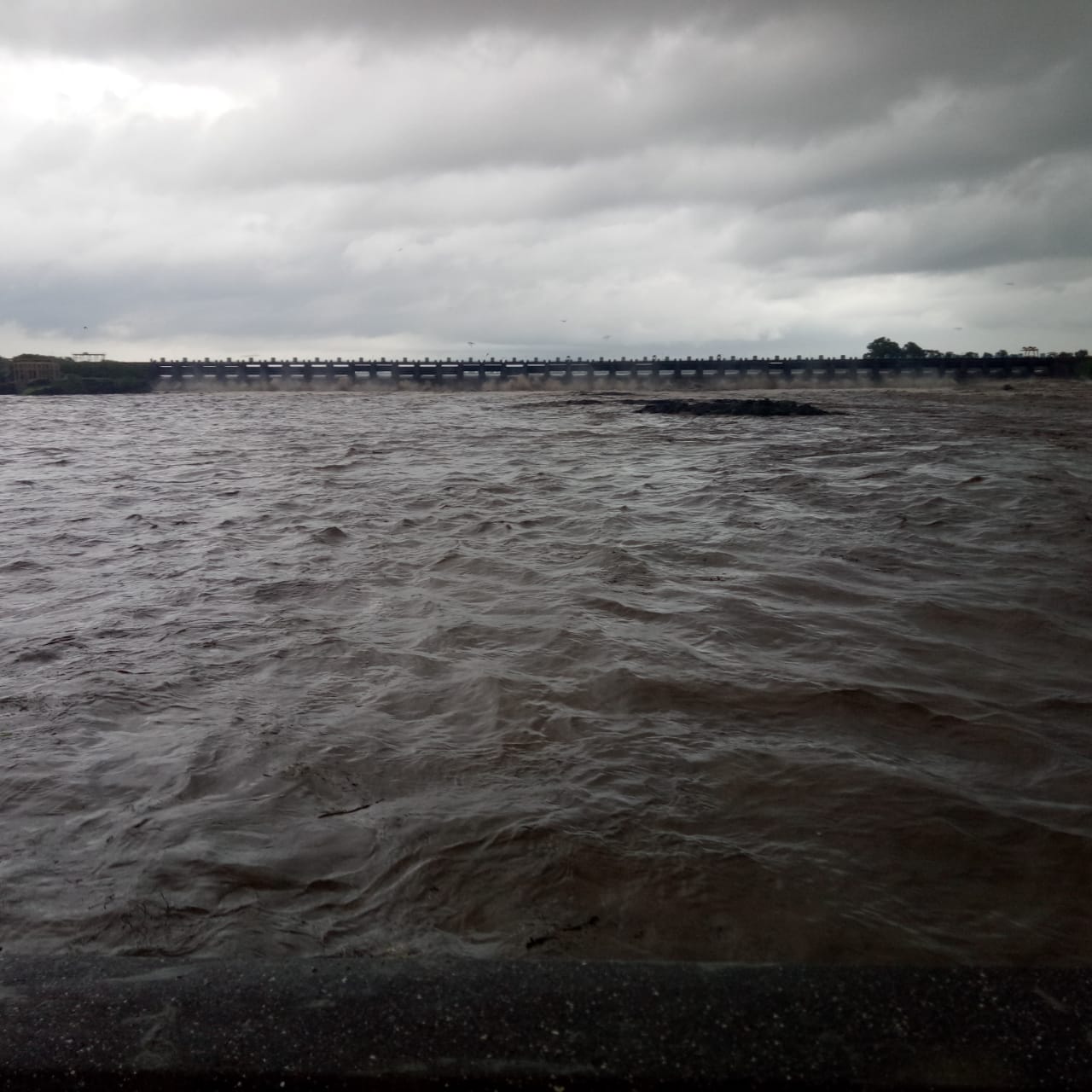 IMG-20190729-WA0206